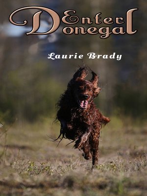 cover image of Enter Donegal